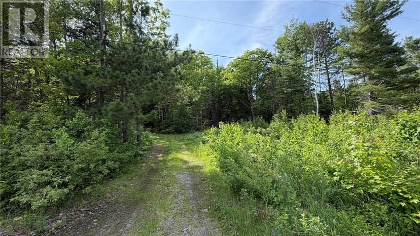 1206 West Bay Road, Garson, photo 6