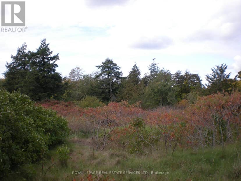 Lt 27 Pt 2 County Rd 10 — photo 9 of 21