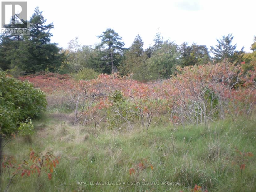 Lt 27 Pt 3 County Rd 10 — photo 14 of 24