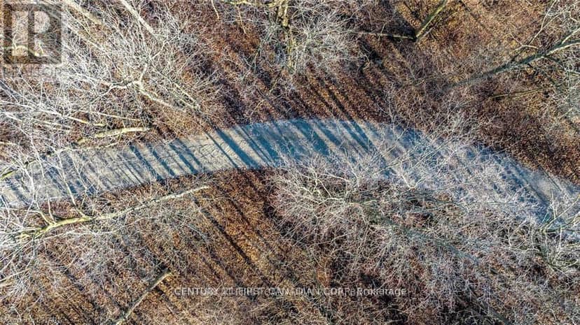 29709 Celtic Line S, Dutton/Dunwich, photo 8