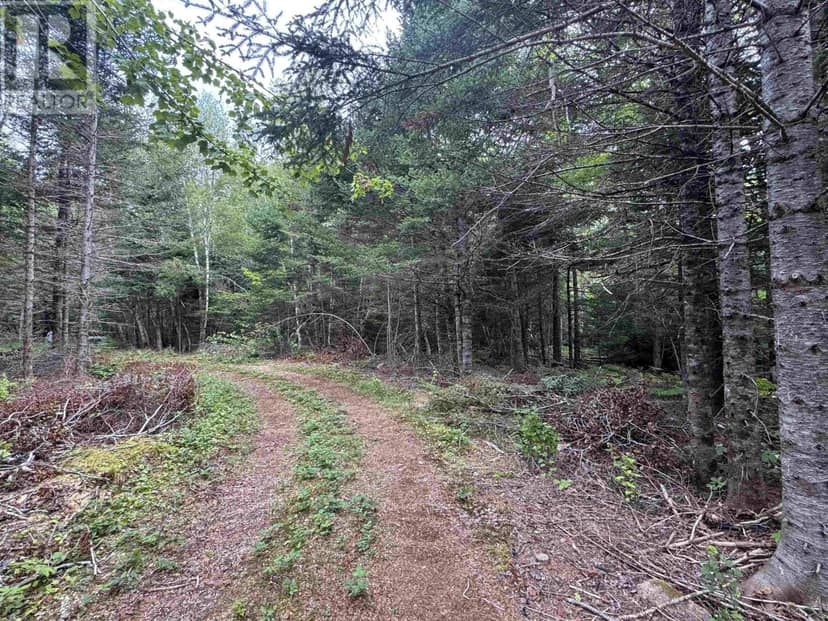 Lot A Hardwood Lake Road — photo 14 of 27