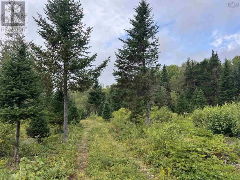 Lot A Hardwood Lake Road — photo 16 of 27