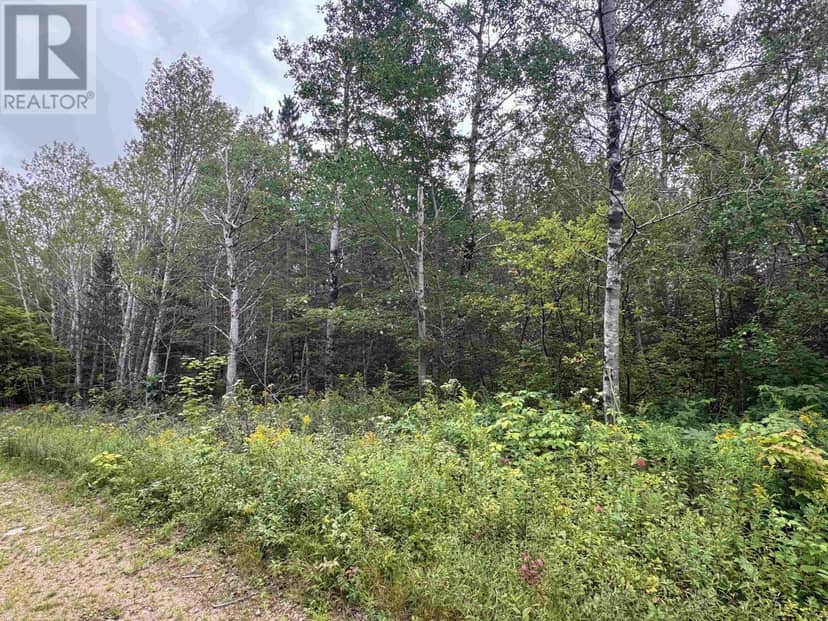 Lot A Hardwood Lake Road — photo 23 of 27