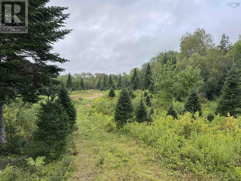 Lot A Hardwood Lake Road — photo 20 of 27