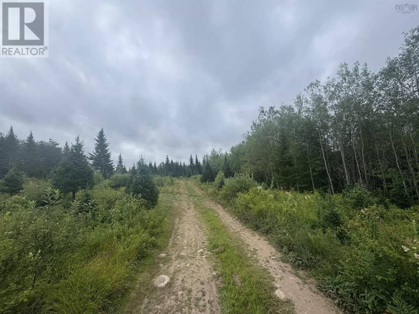 Lot A Hardwood Lake Road, Lake Paul, photo 3