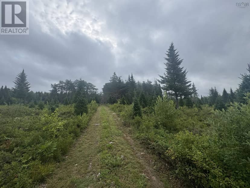 Lot A Hardwood Lake Road, Lake Paul, photo 4