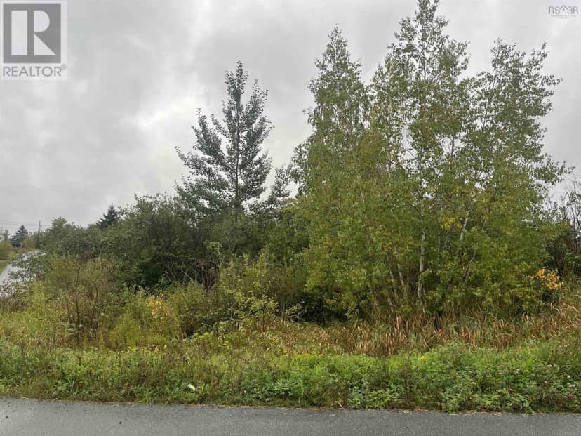 Lot FC Back Gate Road — photo 2 of 3