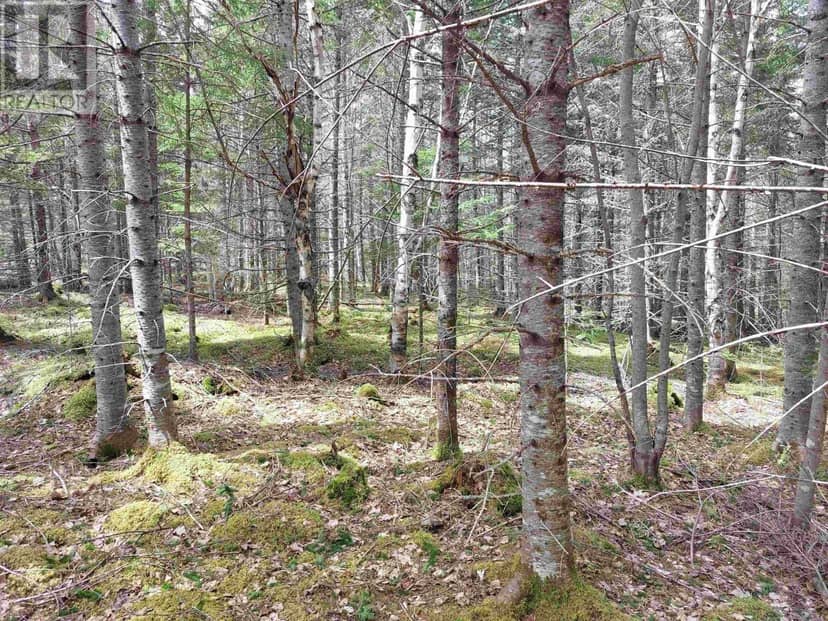 Lot 14 Jonathan R Bouman Lane — photo 13 of 17