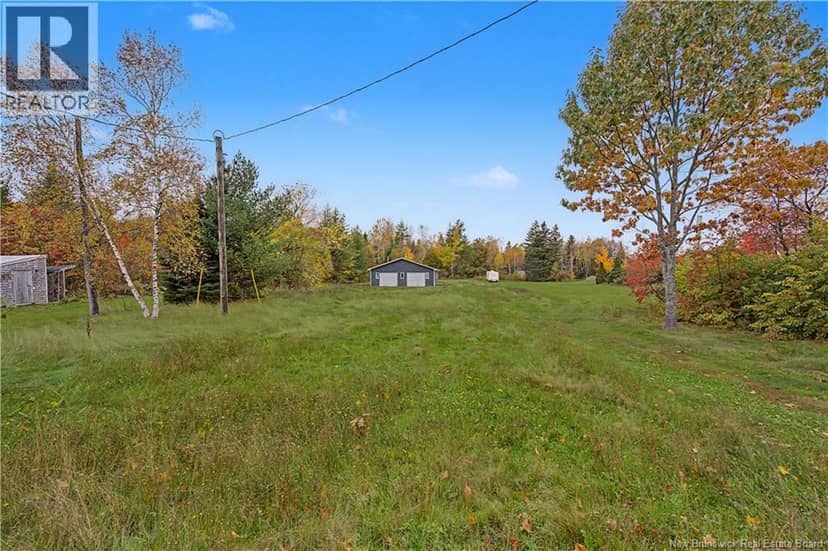 77 Carelton, Rogersville, photo 4