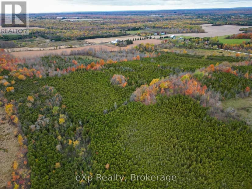 281140 Shouldice Block Road, Georgian Bluffs, photo 5