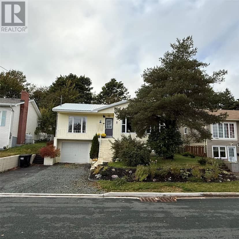 8 Fitzgibbon Street, St. John's, photo 2