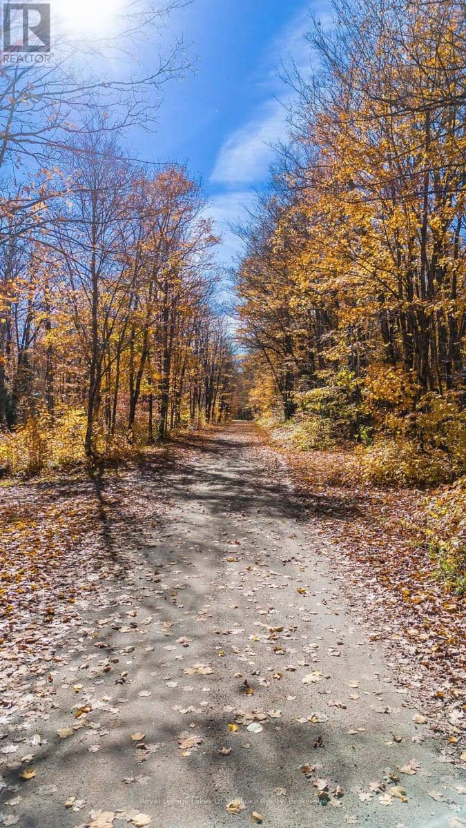 0 Lakeshore Road, Armour, photo 5
