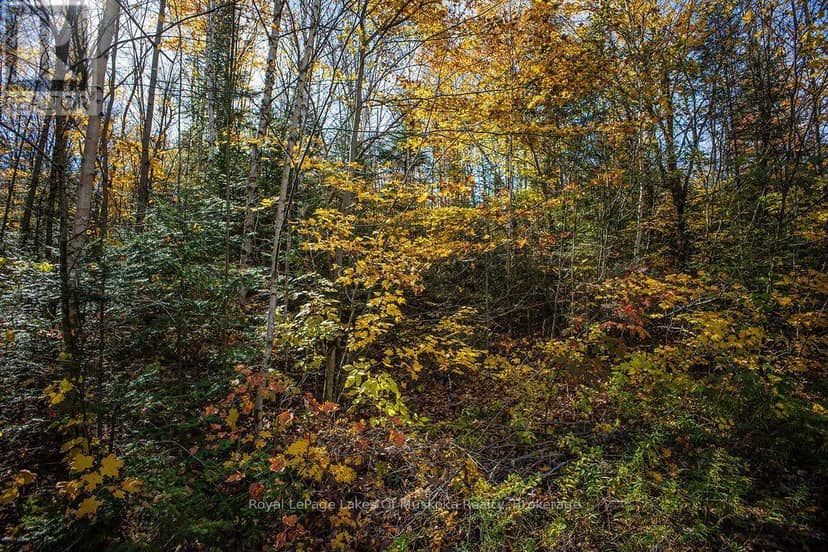 0 Lakeshore Road, Armour, photo 8