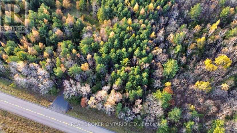 Lot 3 Watsons Corners Road, Lanark Highlands, photo 7