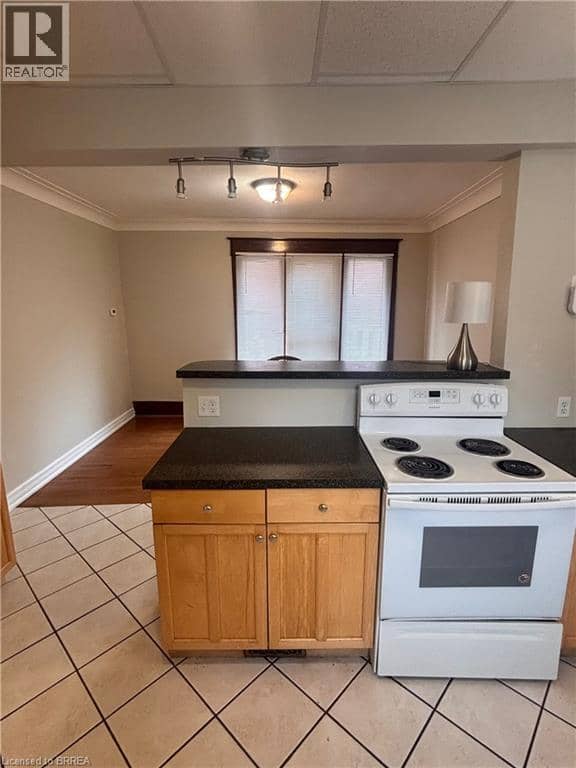 47 GREY Street, Brantford, photo 6