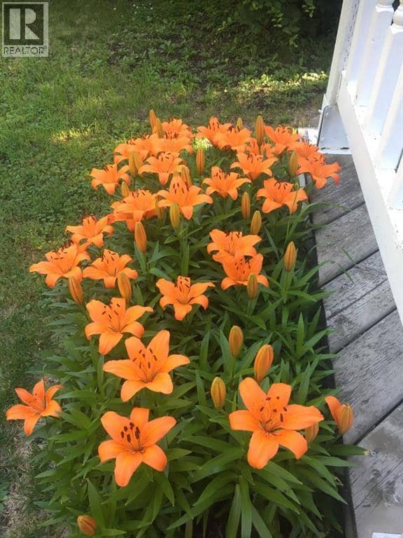 5013 49 A Street — photo 35 of 36