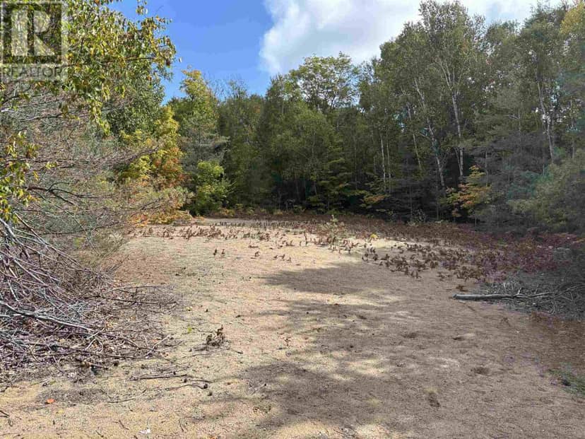 . Pcl 1472 Hilton, St. Joseph Island, photo 2