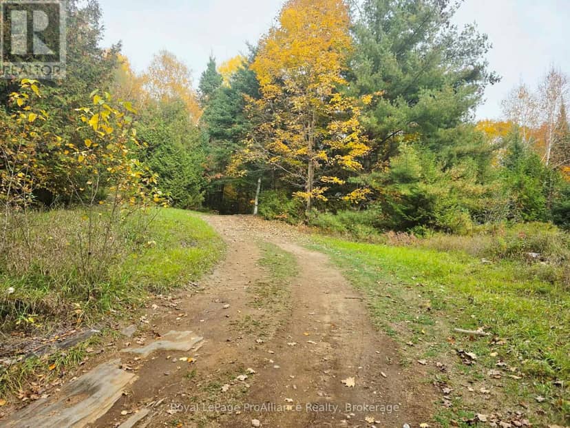 1883 South Road, North Frontenac, photo 7