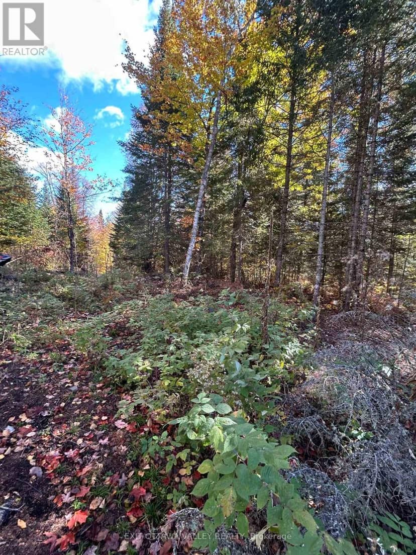 0 Rosien Road, Bonnechere Valley, photo 5