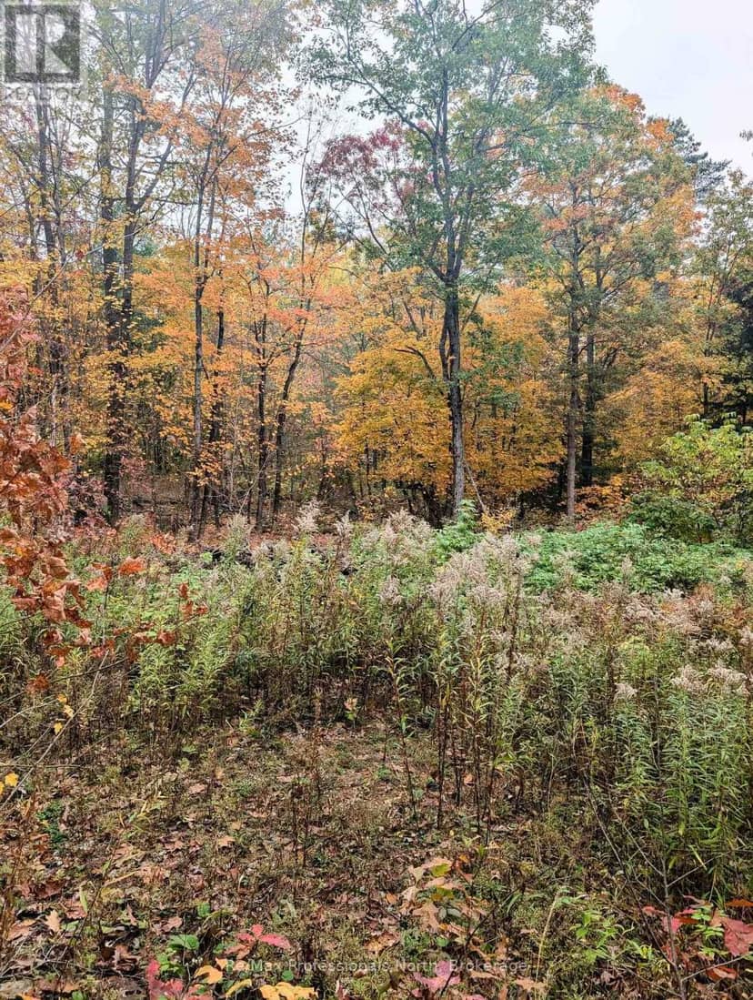 0 Ridge Road — photo 11 of 15
