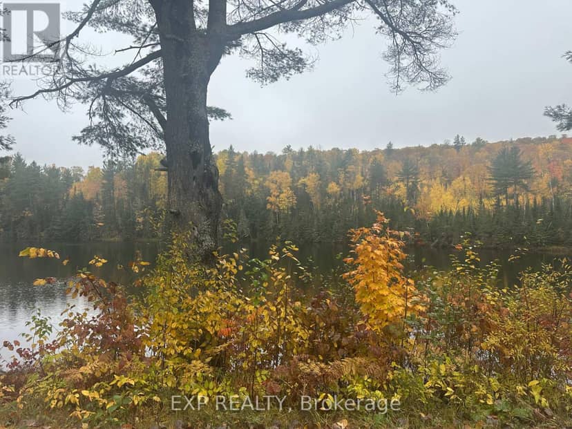 000 Opeongo Road — photo 12 of 19