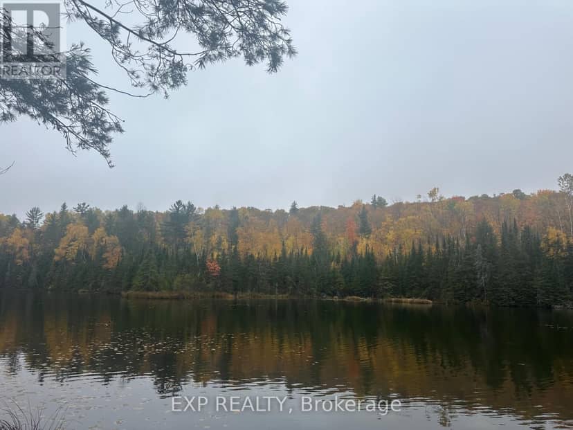 000 Opeongo Road — photo 16 of 19