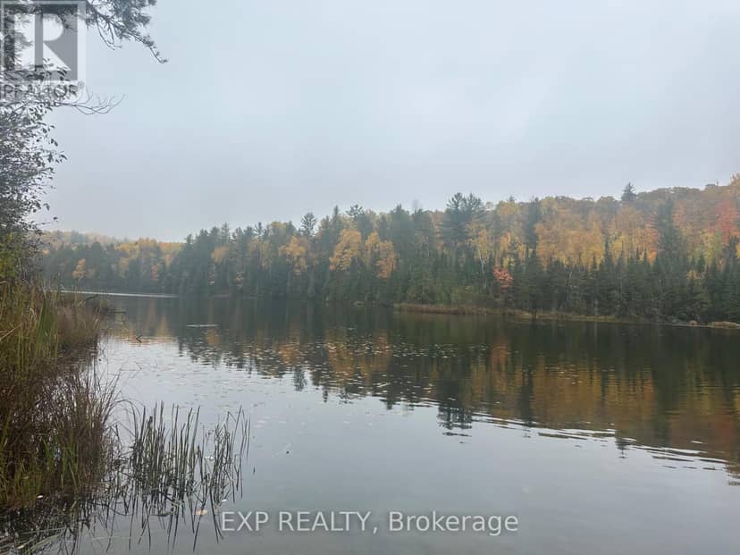 000 Opeongo Road — photo 15 of 19