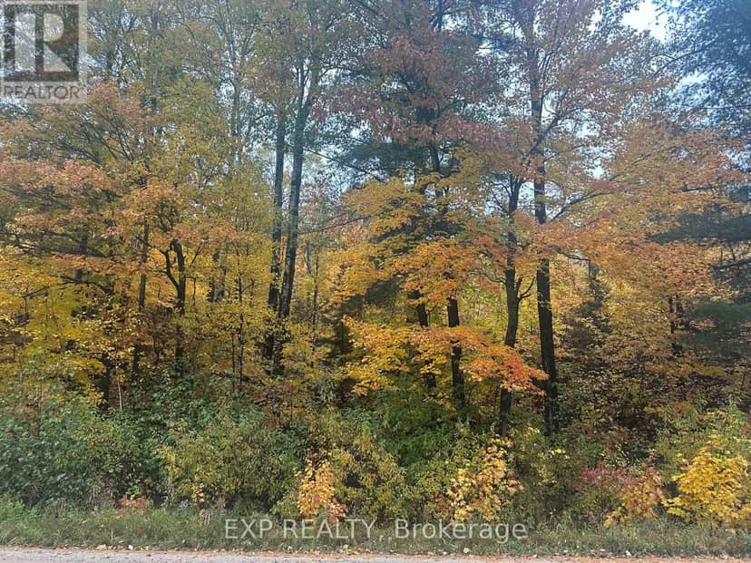 000 Opeongo Road — photo 18 of 19