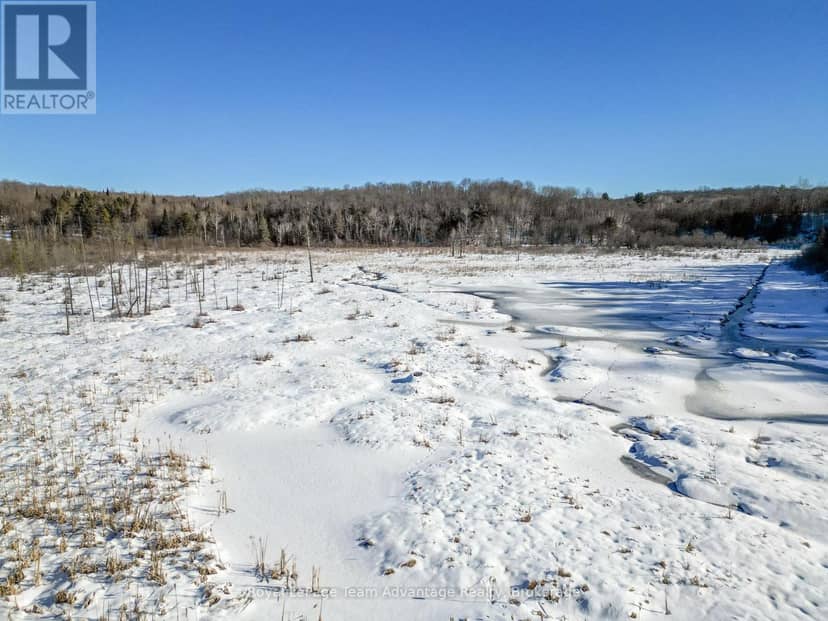 0 Haines Lake Road — photo 10 of 26