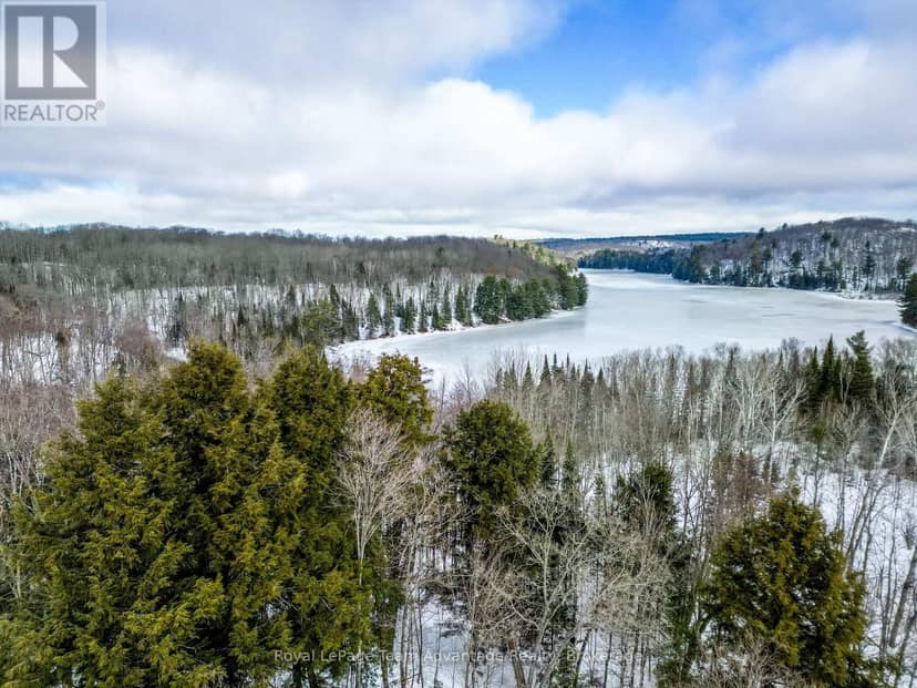 0 Haines Lake Road — photo 19 of 26