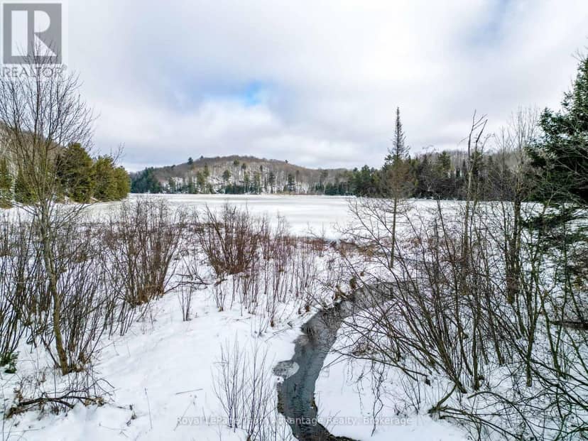 0 Haines Lake Road — photo 9 of 26