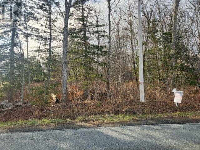 8 Acres Cedar Road, Church Hill — photo 12 of 13