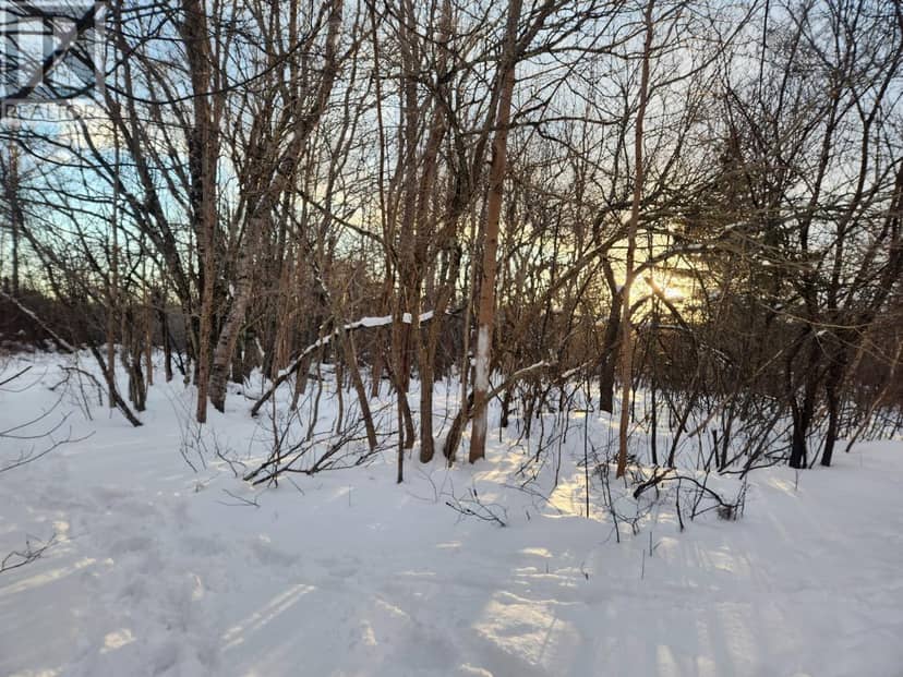 8 Acres Cedar Road, Church Hill — photo 10 of 13