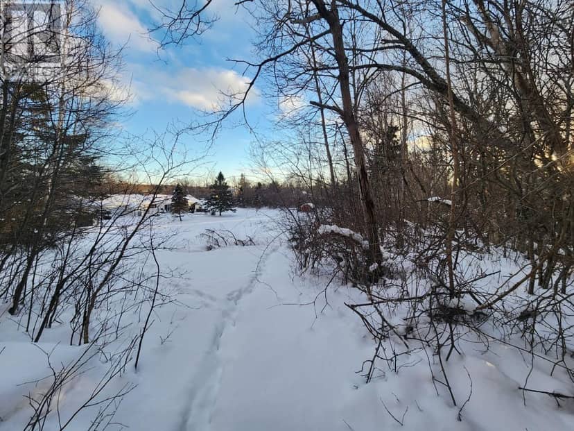 8 Acres Cedar Road, Church Hill — photo 11 of 13