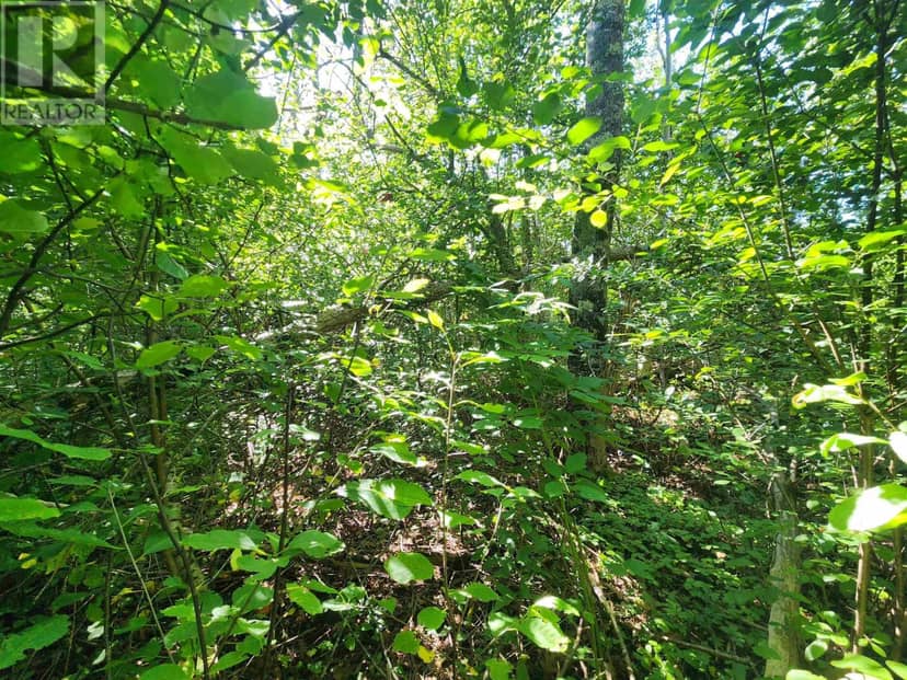 8 Acres Cedar Road, Church Hill, Maitland, photo 3