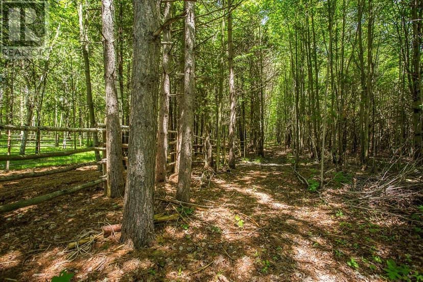 15358 Highway 17, Township of Huron Shores — photo 35 of 40