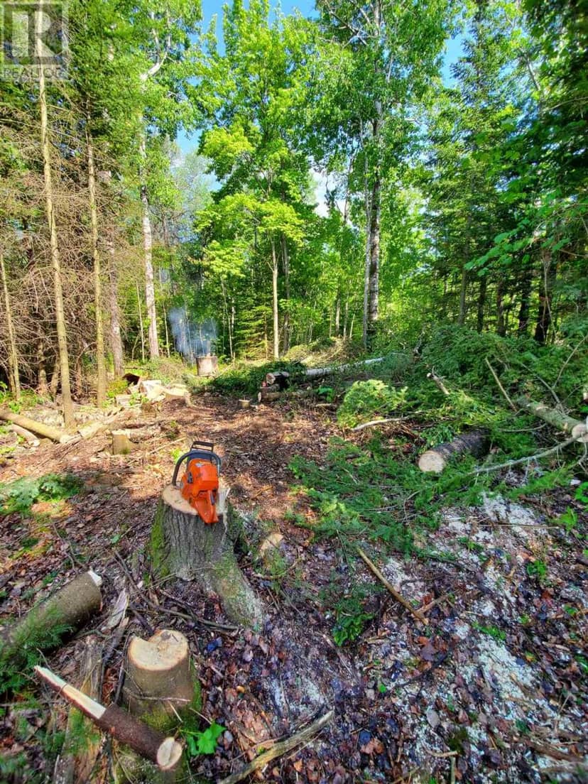Lot 53 Lakeshore DR S, Sault Ste. Marie, photo 2