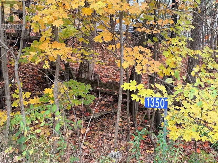 1350 Madill Road, Highlands East, photo 2