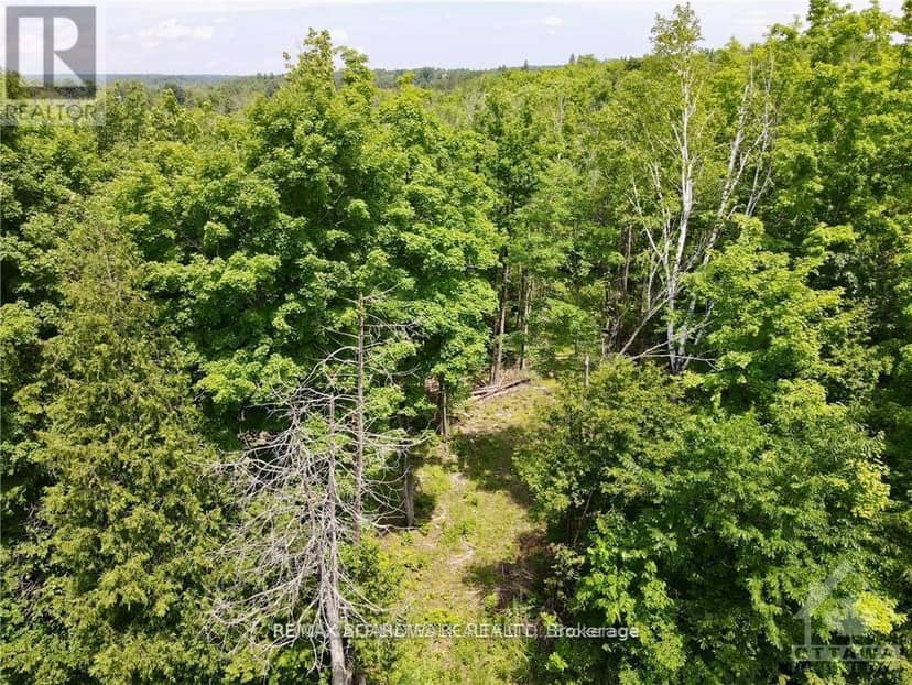 1375 Sheridan Rapids Road, Lanark Highlands, photo 5