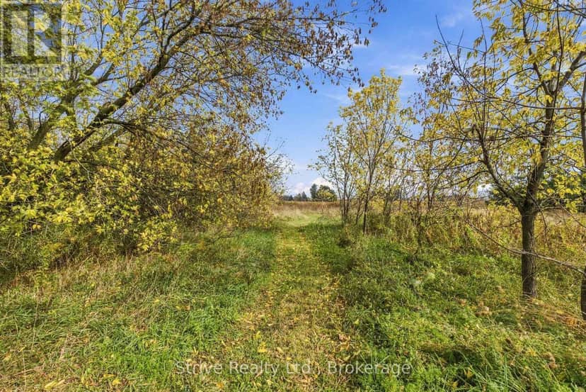 239 Fallis Line — photo 31 of 40