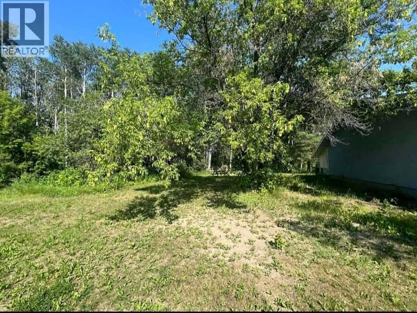 109531 Range Road 175, Rural Mackenzie County, photo 3