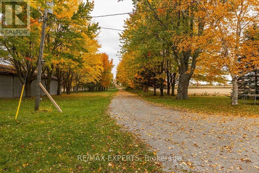 5329 15th Line, New Tecumseth, photo 6