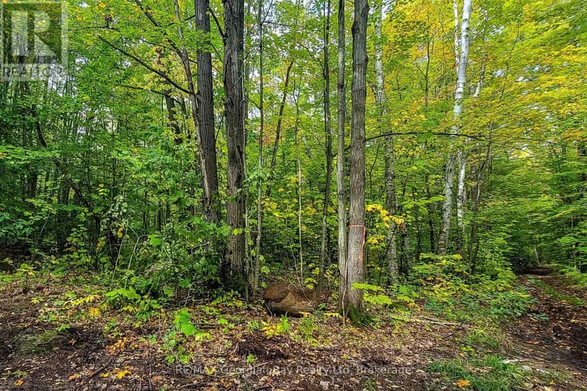 Lot 18 Conc 19 Road W, Tiny, photo 3