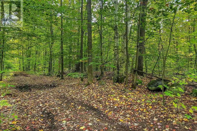 Lot 18 Conc 19 Road W, Tiny, photo 6