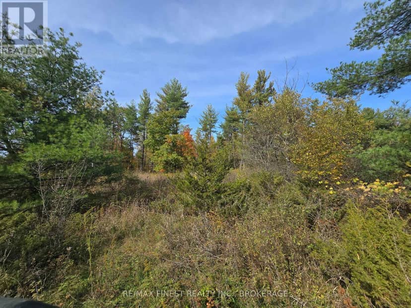 Pt Lt 23 & 24 Hunt Road — photo 15 of 15