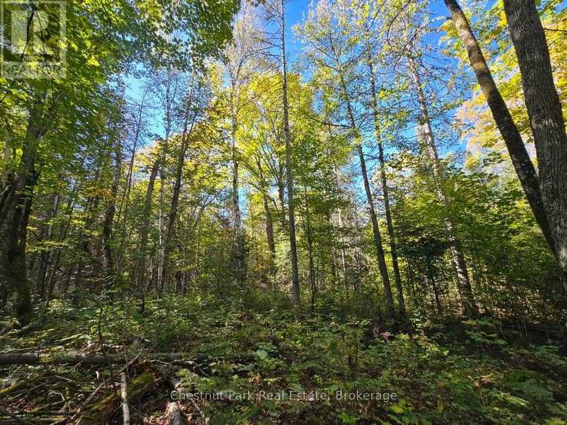 Lt 32 Pt 8 Gibbons Road — photo 12 of 25