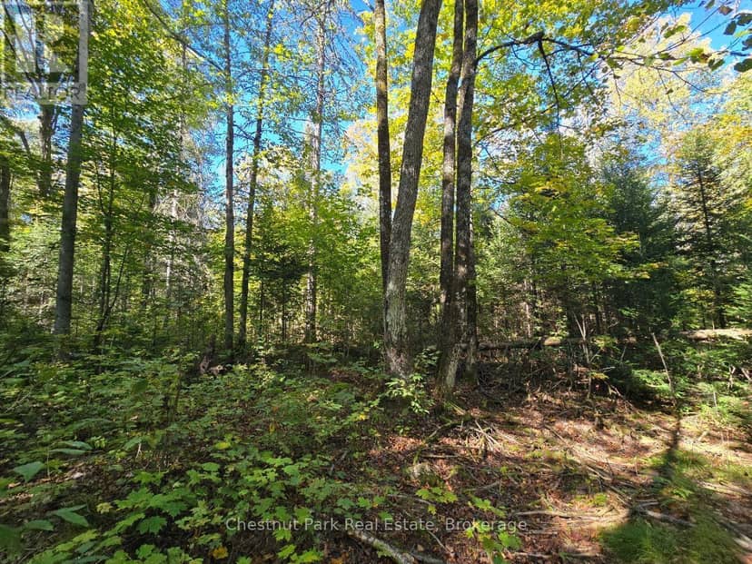 Lt 32 Pt 8 Gibbons Road — photo 13 of 25