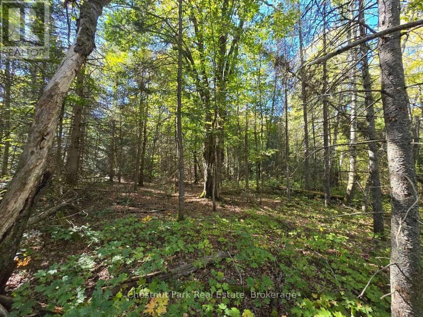 Lt 32 Pt 8 Gibbons Road — photo 15 of 25