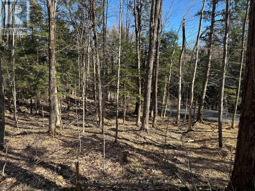 Con 1 Pt Lot 12 Barlochan Road — photo 23 of 40