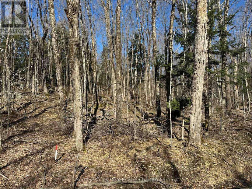 Con 1 Pt Lot 12 Barlochan Road — photo 27 of 40